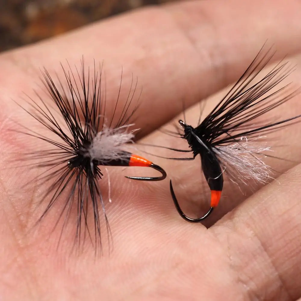 Bimoo 10PCS Size #12 Winged Black Ant Dry Fly Fishing Flies for Rocky River Trout Fishing Flies Artificial Bait Lures