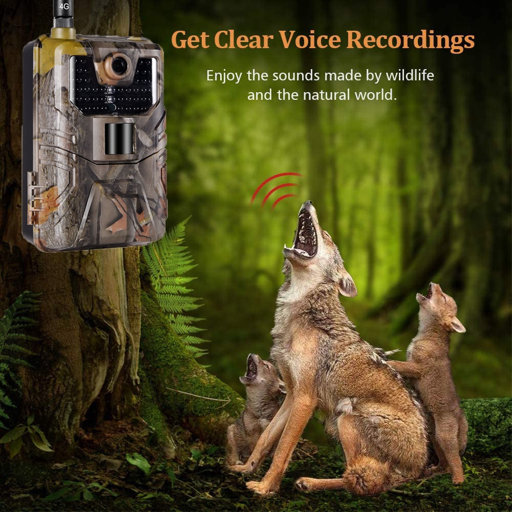 4K Live Video APP Trail Camera Cloud Service 4G 36MP