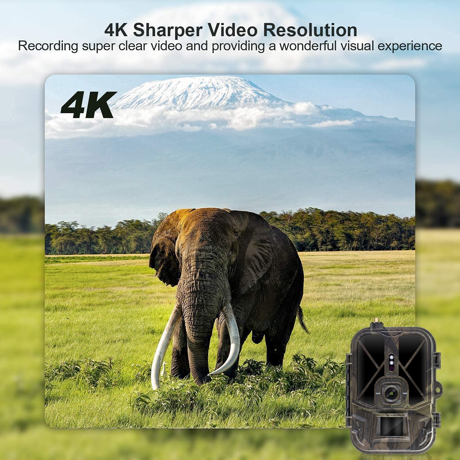 4G LIVE Video10000mah lithium battery Cellular Trail Camera 36MP4K