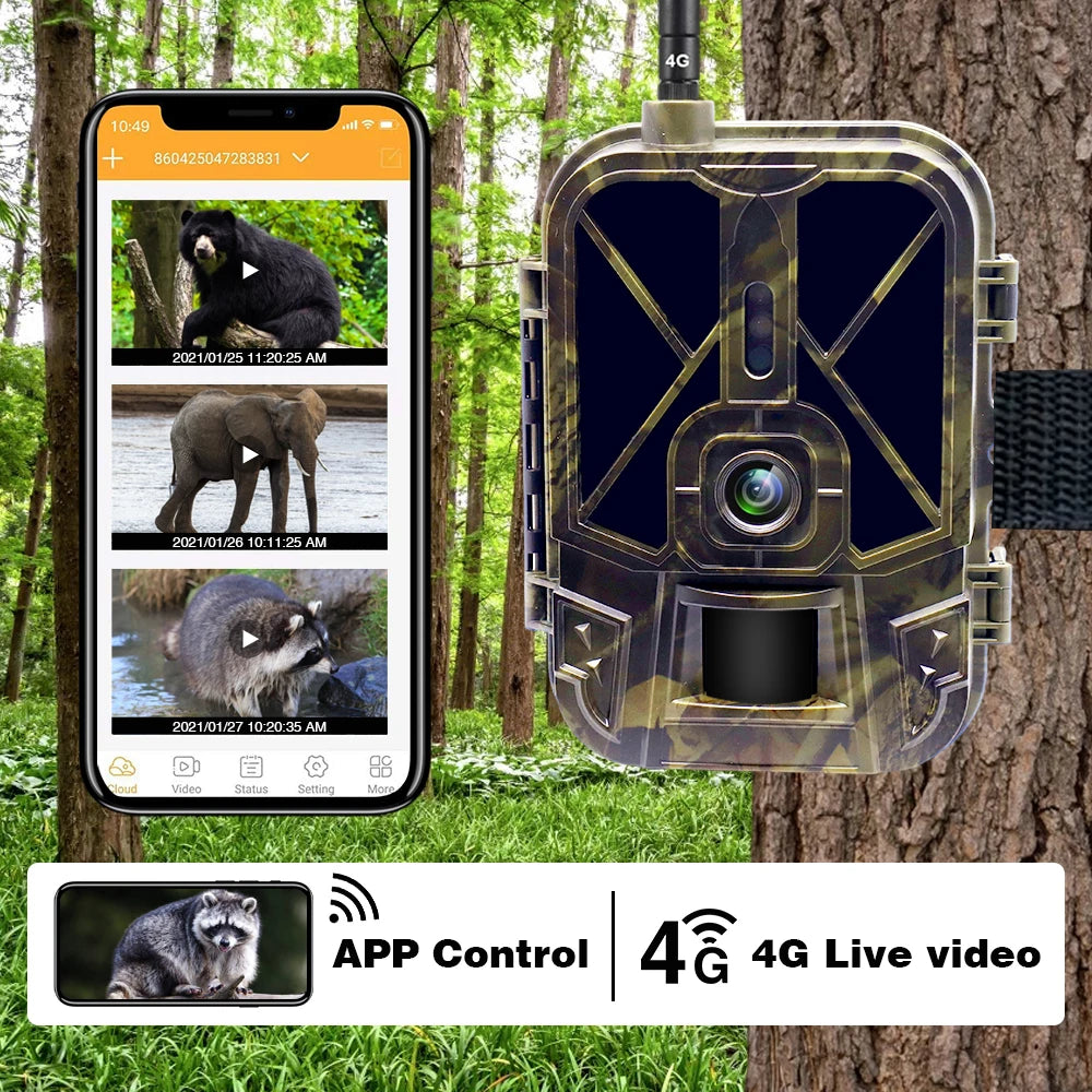 4K Live Stream Media APP Cloud Service Hunting Trail Camera 4G 30MP Night Vision