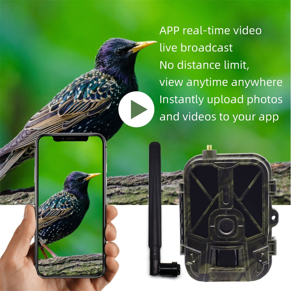 4G LIVE Video10000mah lithium battery Cellular Trail Camera 36MP4K