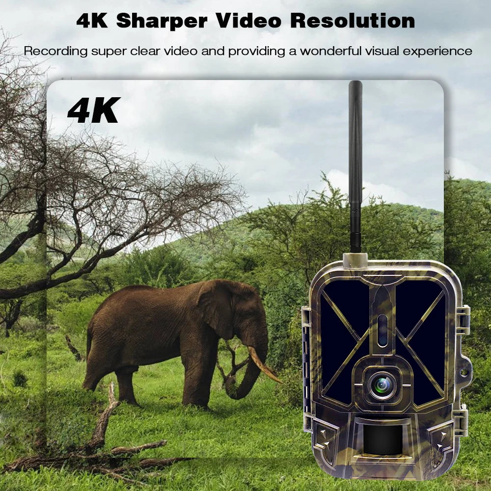 4K Live Stream Media APP Cloud Service Hunting Trail Camera 4G 30MP Night Vision